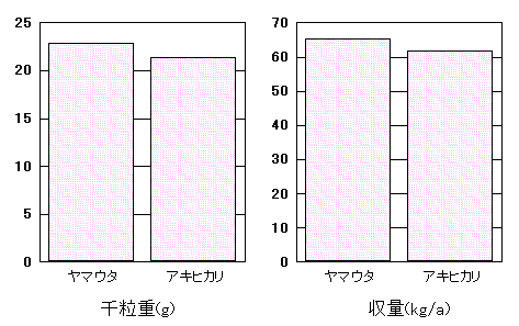 �u���}�E�^�v�̓���