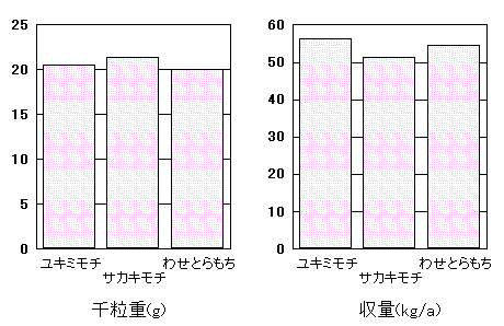 �u���L�~���`�v�̓���