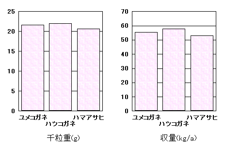 �u�����R�K�l�v�̓���