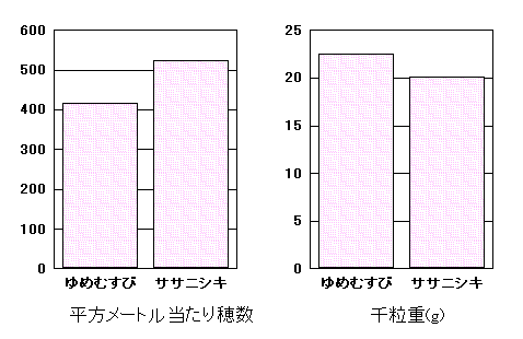 �u��߂ނ��сv�̓���